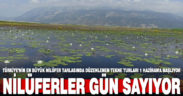 Türkiye’nin en büyük nilüfer tarlasında düzenlenen tekne turları 1 Haziran’a başlıyor