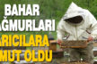 Bahar yağmurları arıcıların yüzünü güldürdü