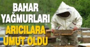 Bahar yağmurları arıcıların yüzünü güldürdü
