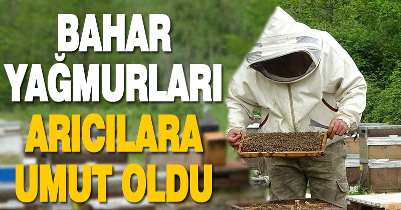 Bahar yağmurları arıcıların yüzünü güldürdü