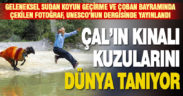 Çal’ın kınalı kuzularını dünya tanıyor