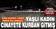 Üzüm bağında cesedi bulunan kadın sırtından av tüfeğiyle vurulmuş