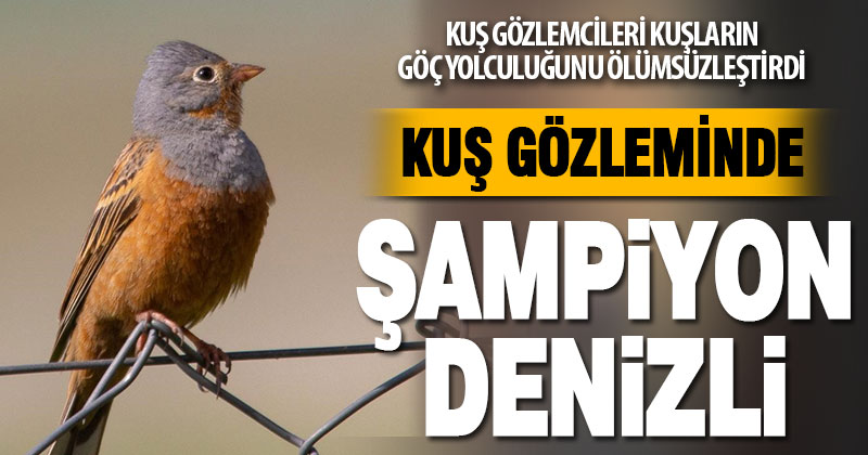 Kuş gözleminde şampiyon Denizli