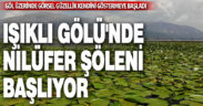 Işıklı Gölü’nde nilüfer şöleni başlıyor