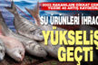 Denizli’nin su ürünleri ve hayvansal mamuller ihracatında yüzde 40’lık artış
