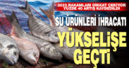 Denizli’nin su ürünleri ve hayvansal mamuller ihracatında yüzde 40’lık artış