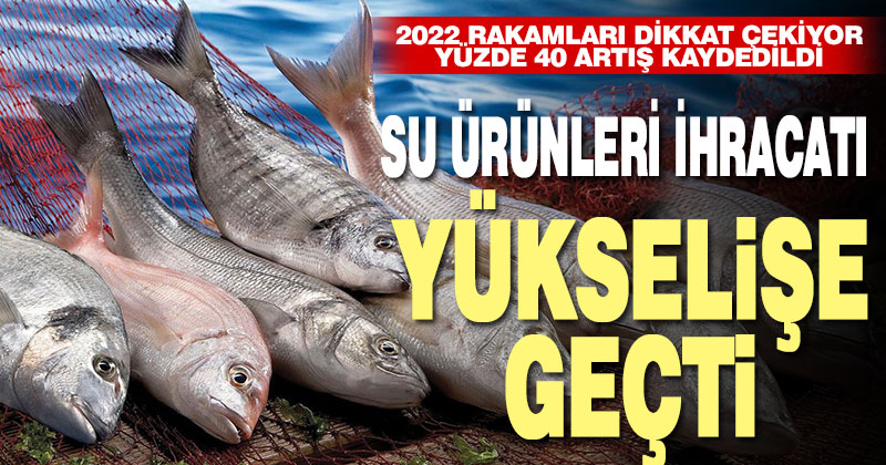 Denizli’nin su ürünleri ve hayvansal mamuller ihracatında yüzde 40’lık artış