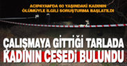 Tarlada kadın cesedi bulundu