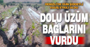 Dolu yağışı üzüm bağlarını vurdu