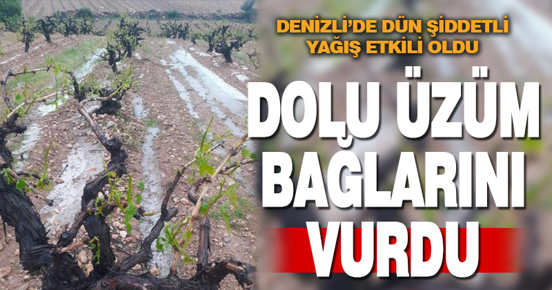 Dolu yağışı üzüm bağlarını vurdu