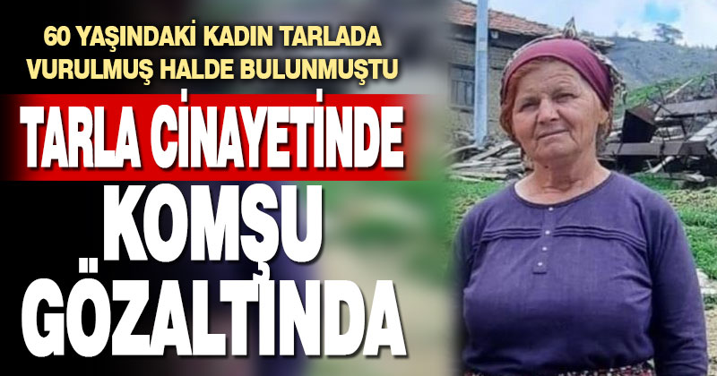 Üzüm bağında av tüfeğiyle öldürülen kadının komşusu gözaltına alındı