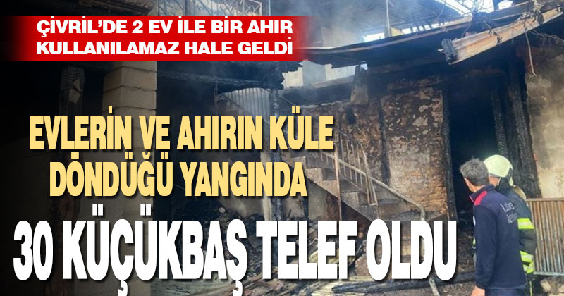 Evlerin ve ahırın küle döndüğü yangında 30 küçükbaş telef oldu