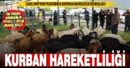 Canlı hayvan pazarı hareketlenmeye başladı