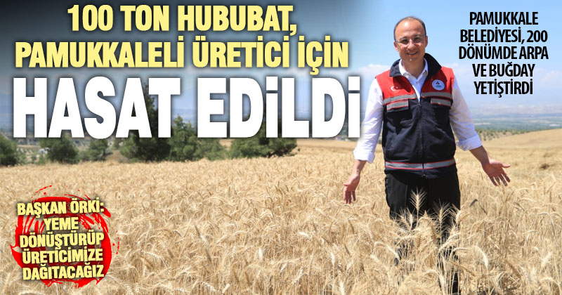Pamukkale Belediyesi, hayvan üreticileri için 200 dönümde hububat yetiştirdi