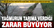 Aralıksız yağışlar tarımsal üretimi olumsuz etkiliyor