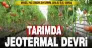 Tarımda “jeotermal” devri: Denizli 700 dönümle üretimde üçüncü