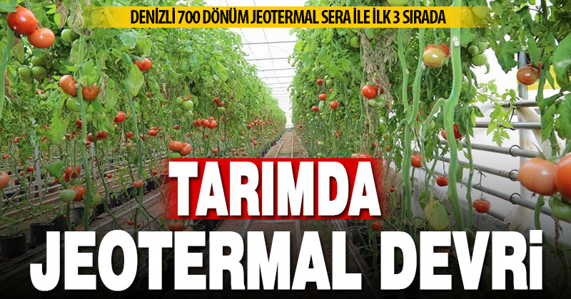 Tarımda “jeotermal” devri: Denizli 700 dönümle üretimde üçüncü