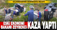 Eski Bakan Zeybekci, trafik kazasında yaralandı