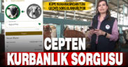 Tarım Cebimde uygulaması kurbanlık hayvanlar için kullanıma açıldı