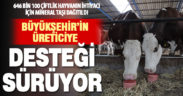Büyükşehir, 646 bin 100 küçükbaş ve büyükbaşın mineral taş ihtiyacını karşıladı