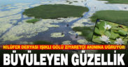 Nilüfer deryası Işıklı Gölü ziyaretçi akınına uğruyor