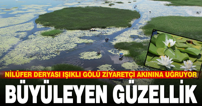 Nilüfer deryası Işıklı Gölü ziyaretçi akınına uğruyor