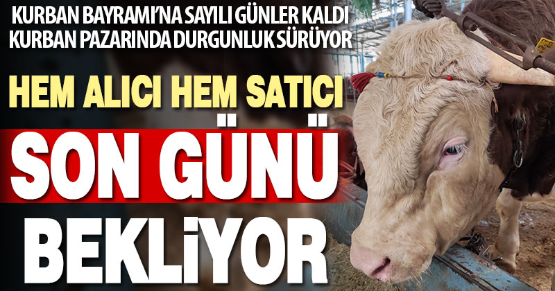 Kurban pazarında ümitler son güne kaldı