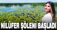 Nilüferin görsel şöleni başladı
