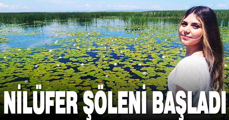 Nilüferin görsel şöleni başladı