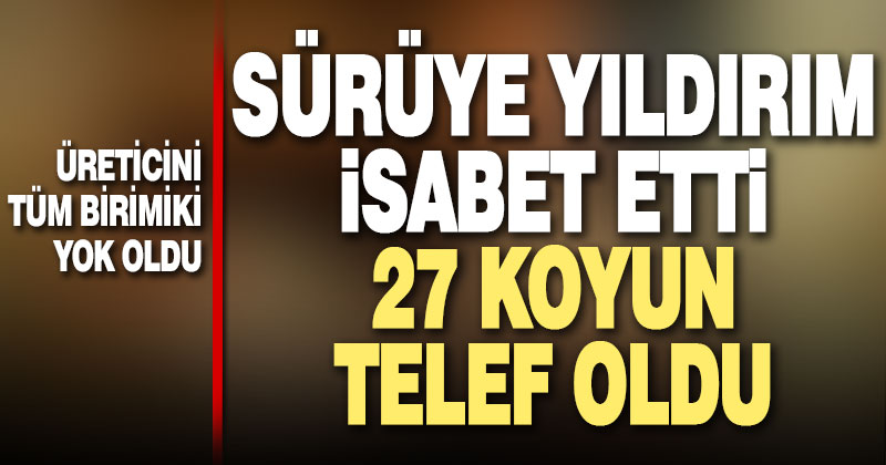 Acıpayam’da yıldırımın isabet ettiği sürüde 27 koyun telef oldu