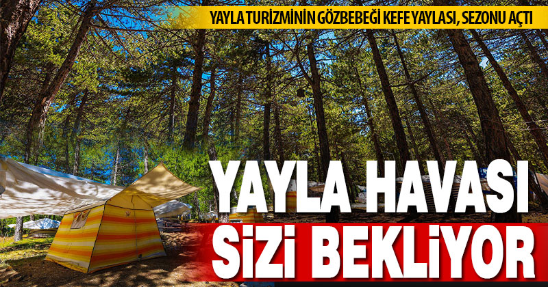 Doğasıyla cezbeden Kefe Yaylası misafirlerini bekliyor