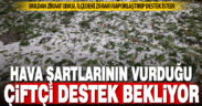 Buldanlı çiftçi, hava koşullarının yarattığı zararın telafi edilmesini istiyor