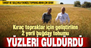Kıraç topraklar için geliştirilen 2 yerli buğday tohumu yüzleri güldürdü