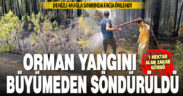 Denizli-Muğla sınırındaki orman yangını büyümeden söndürüldü