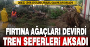 Demiryoluna ağaç devrildi, Denizli-İzmir tren seferleri aksadı