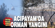 Acıpayam’da tarlada başlayıp ormana sıçrayan yangın kontrol altına alındı