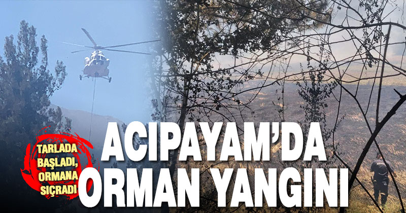 Acıpayam’da tarlada başlayıp ormana sıçrayan yangın kontrol altına alındı