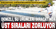 Denizli, su ürünleri ihracatında üst sıraları zorluyor