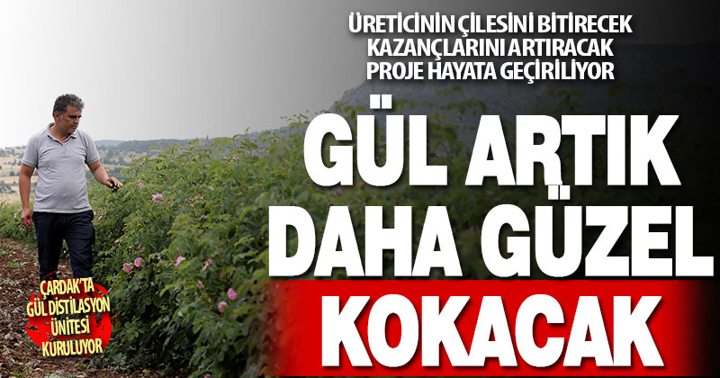 Büyükşehir’den yağlık gül üreticilerine dev destek. Gül Distilasyon Ünitesi kuruluyor