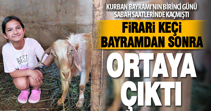 Kaçan kurbanlık keçi, 5 gün sonra boş bir evde bulundu