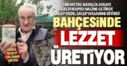 Salep Dede bu yılki hasadı bitirdi