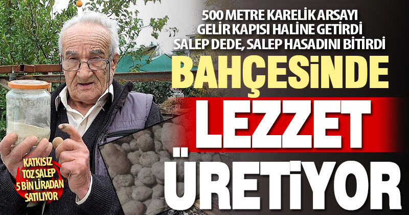 Salep Dede bu yılki hasadı bitirdi