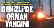 Çakıroluk’ta çıkan orman yangını kontrol altına alındı