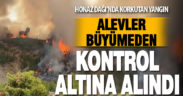 Honaz Dağı’nda çıkan yangın büyümeden söndürüldü