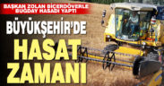 BÜYÜKŞEHİR’DE HASAT ZAMANI