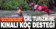 Çal turizmine kınalı koç desteği