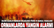 Ormanlık alanlarda sıkıyönetim. Piknik, mangal ve konaklama yasaklandı