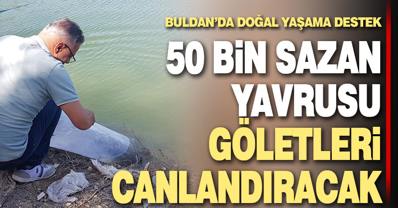 Buldan’da 50 bin balık suya bırakıldı