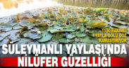Nilüferler Süleymanlı Yayla Gölünün güzelliğine güzellik kattı