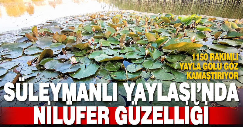 Nilüferler Süleymanlı Yayla Gölünün güzelliğine güzellik kattı